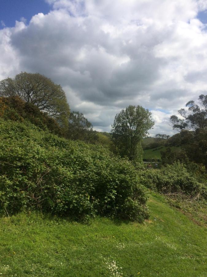 Willow Valley Bude Luaran gambar