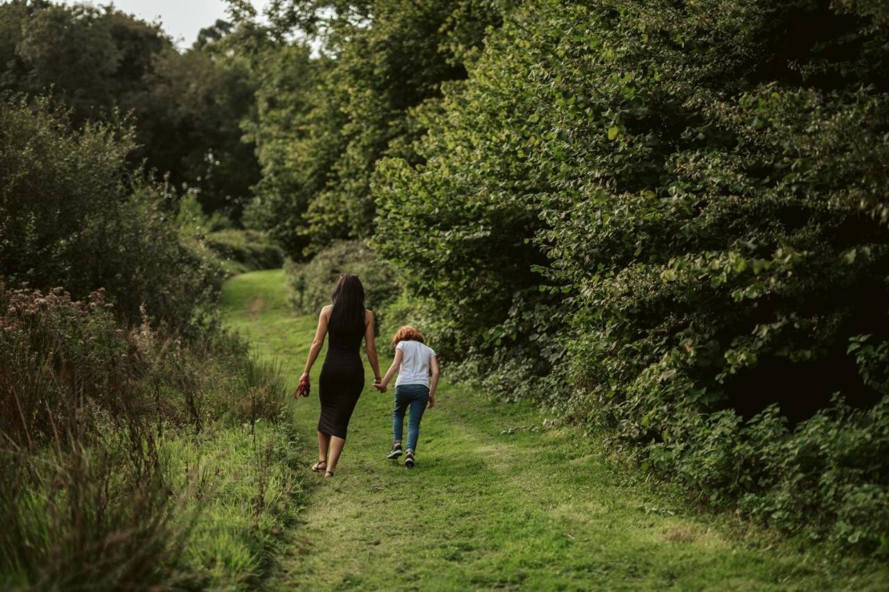 Willow Valley Bude Luaran gambar